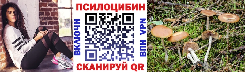 KRAKEN tor Воскресенск Псилоцибиновые грибы мухоморы